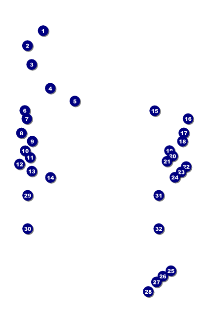 Banjo Poster Front Field Markers