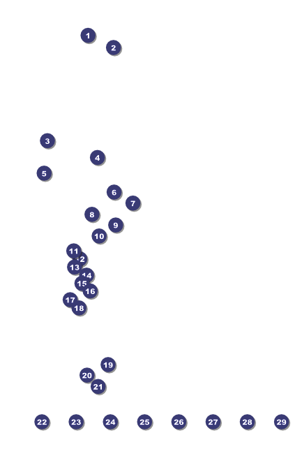 Sydney Poster (Pink) Front Field Markers