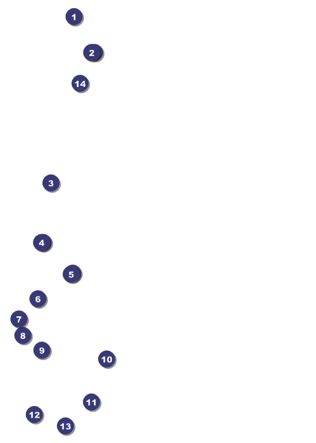 Carnival Postcard Front Field Markers