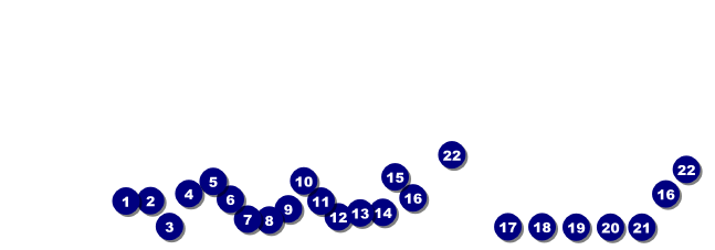 Georgia Raffle Ticket Front Field Markers