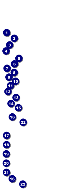 Montana Raffle Front Field Markers