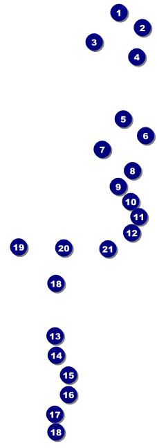 Golf Photo Raffle Ticket Front Field Markers