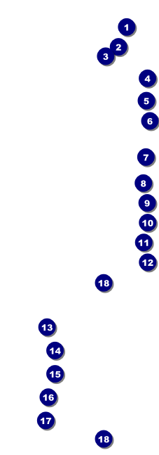 Roller Derby Pink Leopard Raffle Ticket Front Field Markers