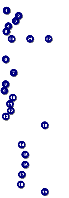 Earth Day Heart Raffle Ticket Front Field Markers