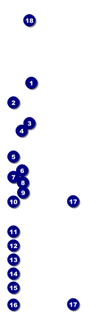 Happy Birthday Chevron Raffle Ticket Front Field Markers