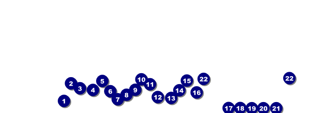 Rugby Raffle Front Field Markers
