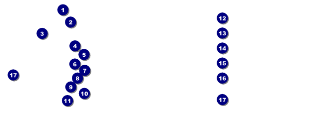 Fly Away Raffle Ticket Front Field Markers