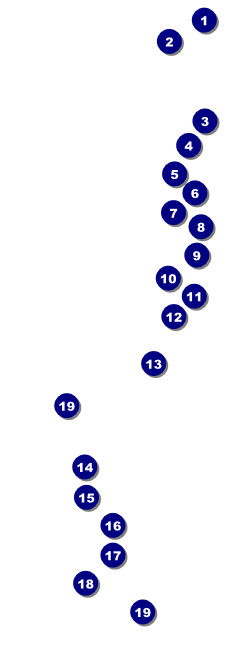 Sydney Raffle Ticket (Black and white) Front Field Markers