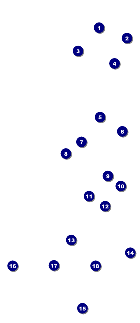 Golf Photo VIP Pass Front Field Markers
