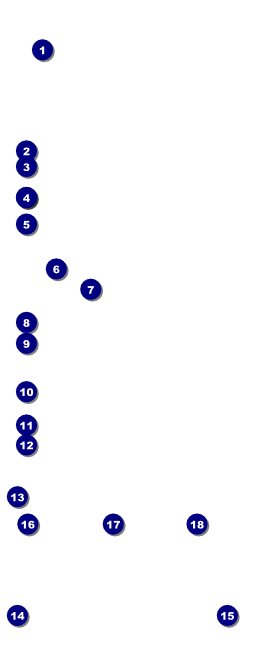 Tampa Bay Sunset VIP Pass Front Field Markers