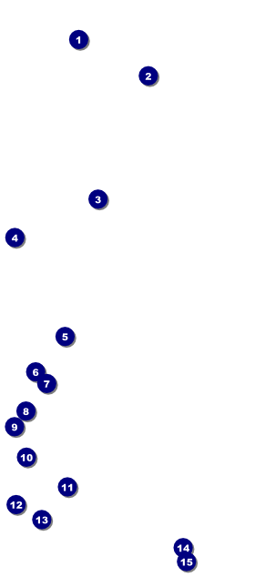 Picnic 2 VIP Pass Front Field Markers
