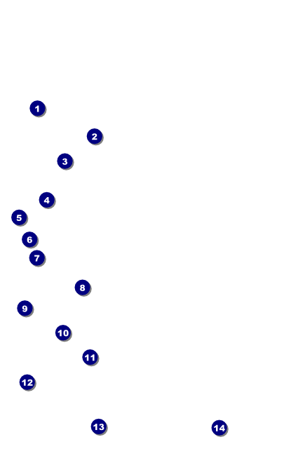 Astrology Drink Ticket Front Field Markers