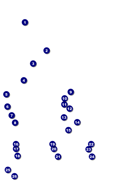 Astrology Invitation Front Field Markers