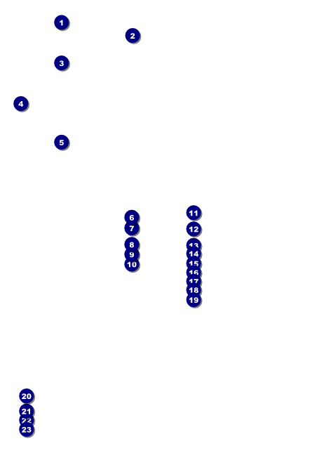 Gymnastics Flyer Front Field Markers