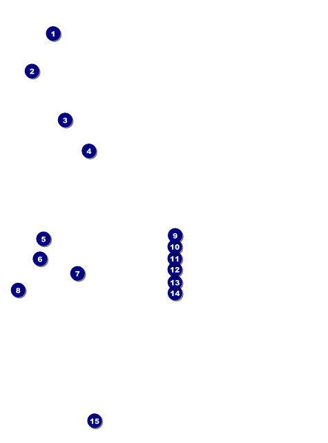 Pirate Ship Flyer Front Field Markers