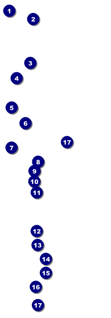 Billiards Raffle Ticket Front Field Markers