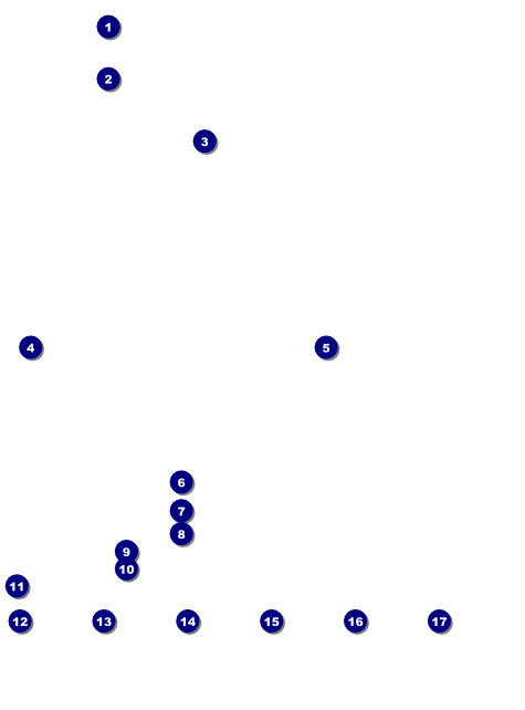Cricket Logo Flyer Front Field Markers