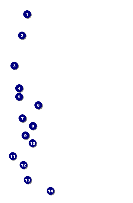 Spring Drink Ticket Front Field Markers