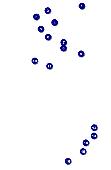 African Music Drink Ticket Front Field Markers