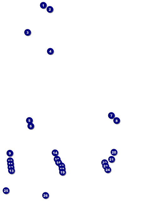 Magic Show Flyer Front Field Markers