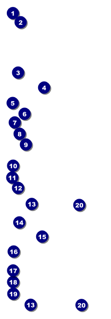 Romeo and Juliet Event Ticket Front Field Markers