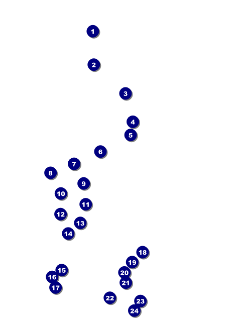 Winter Cut Paper Invitation Front Field Markers