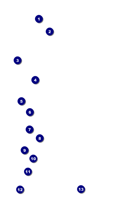 Renaissance Drink Ticket Front Field Markers