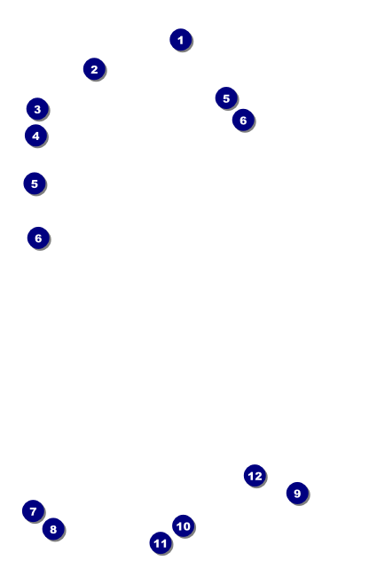 Skateboarding Drink Ticket Front Field Markers