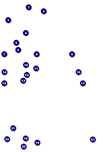 St. Patrick's Day Shamrock Club Flyer Front Field Markers