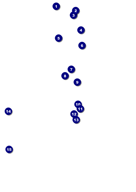 El Paso Club Flyer Front Field Markers