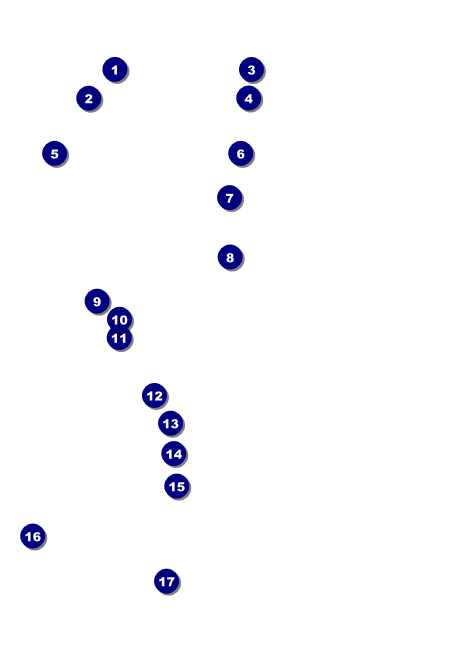 Roaring 20s Club Flyer Front Field Markers