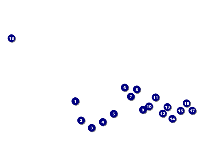 North Dakota Club Flyer Front Field Markers